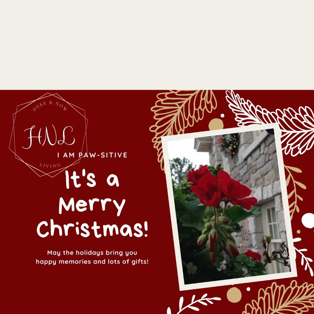 Holiday Greeting Cards - Picture 4 of 8
